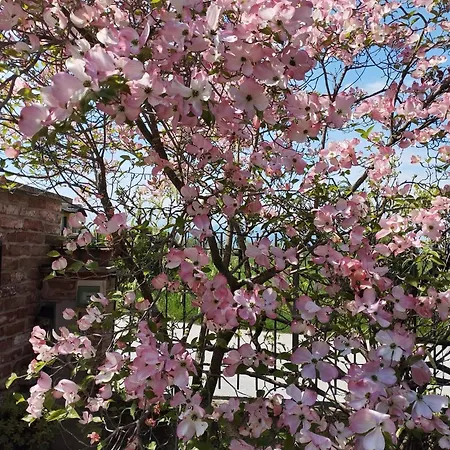 Bed & Breakfast Rubino *