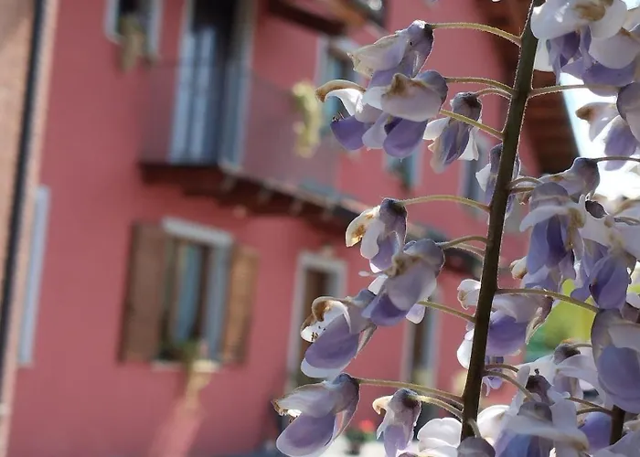 Rubino Oda ve Kahvaltı